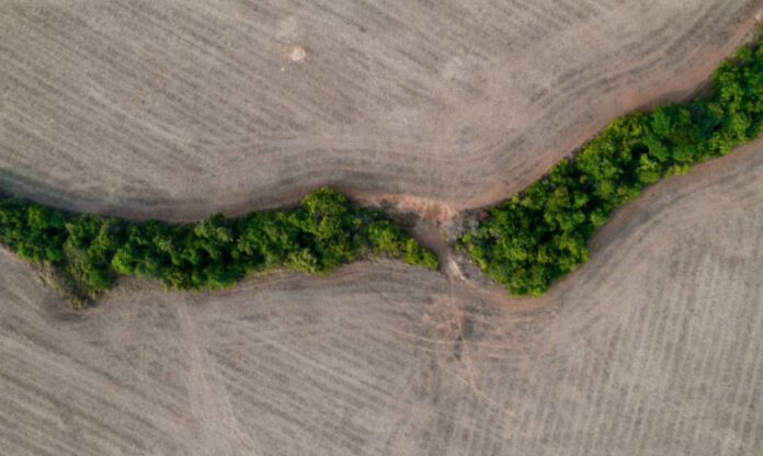 Imagem aérea mostra contraste entre áreas desmatadas e uma estreita faixa de vegetação preservada no Cerrado.