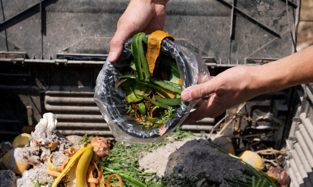 Desperdício de alimentos revela falhas estruturais no sistema alimentar global
