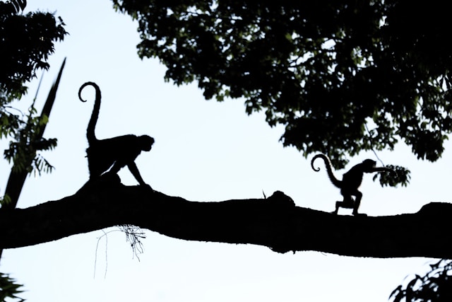 dylan shaw QpZ9gdJCeNM unsplash 3