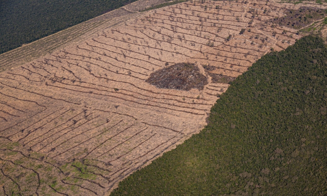 Vista aérea mostra floresta fragmentada ao lado de áreas degradadas e abertas, causa de extinção de espécies e ameaça ao muriqui