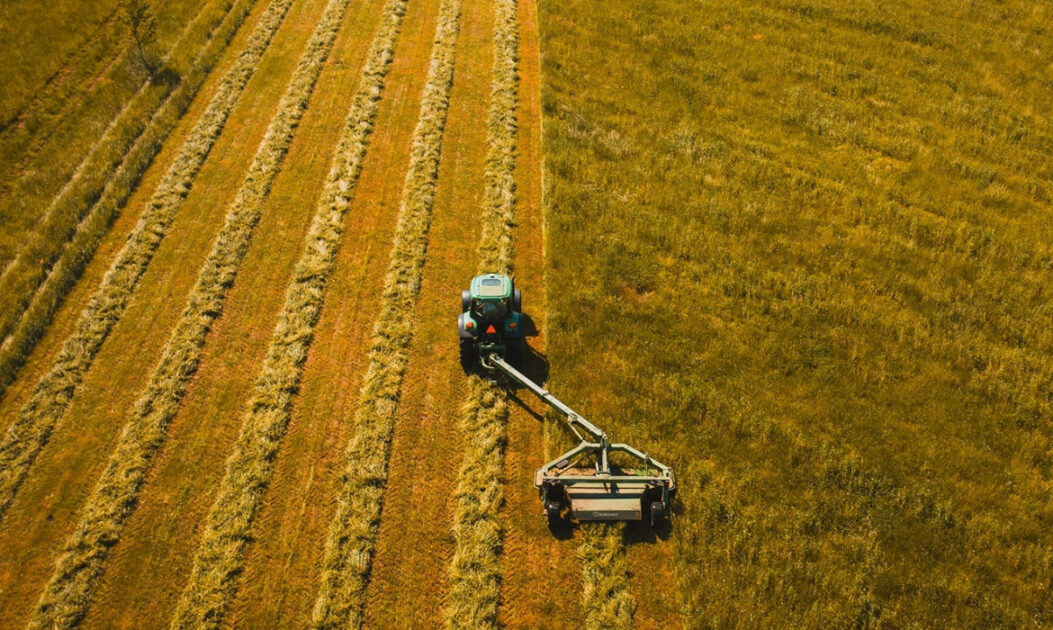 Plantação de soja em larga escala, típica do sistema alimentar atual baseado em monoculturas