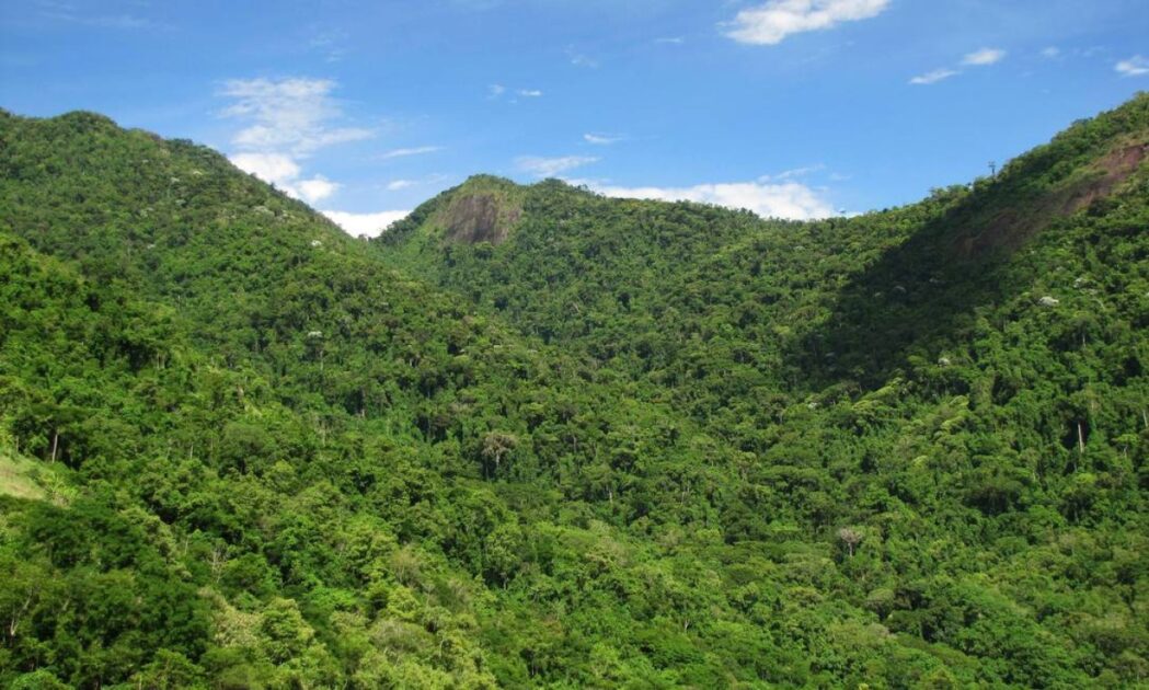 Panorama da vegetação nativa visto a partir da Pedra do Quilombo, em Guaratiba, RJ.