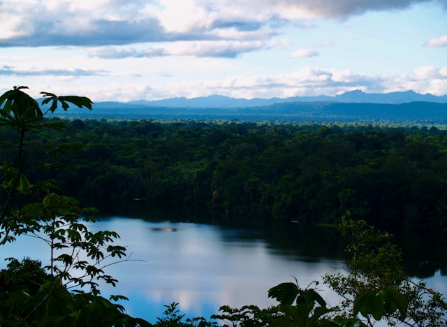 peter burdon h3xOL22MLT8 unsplash 1 1