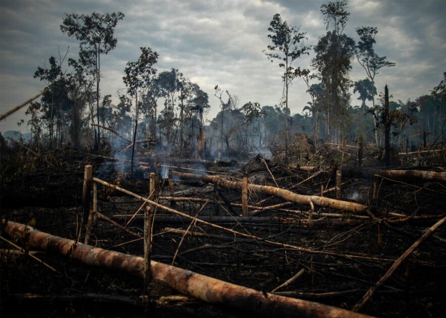 BNDES destina R$ 912 milhões do Fundo Clima para restaurar florestas com apoio privado 2 Área desmatada na Amazônia com troncos caídos e solo exposto, destacando urgência da restauração florestal apoiada pelo Fundo Clima.