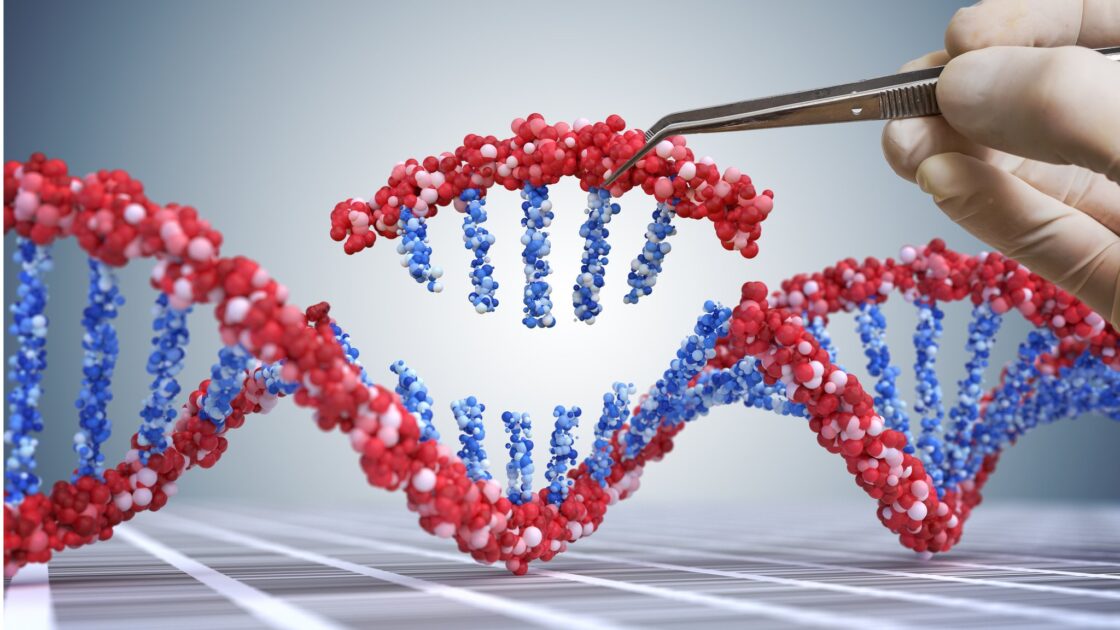 Mão com luva segurando pinça que manipula uma fita de DNA, representando edição genética com CRISPR que criou trigo modificado.