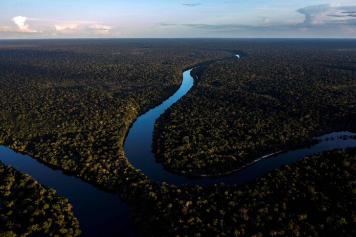 Vista aérea da floresta amazônica ao amanhecer, com Rio Amazonas cortando o dossel — cenário que ajuda a compreender como surgiu a Amazônia e sua importância para o clima global.
