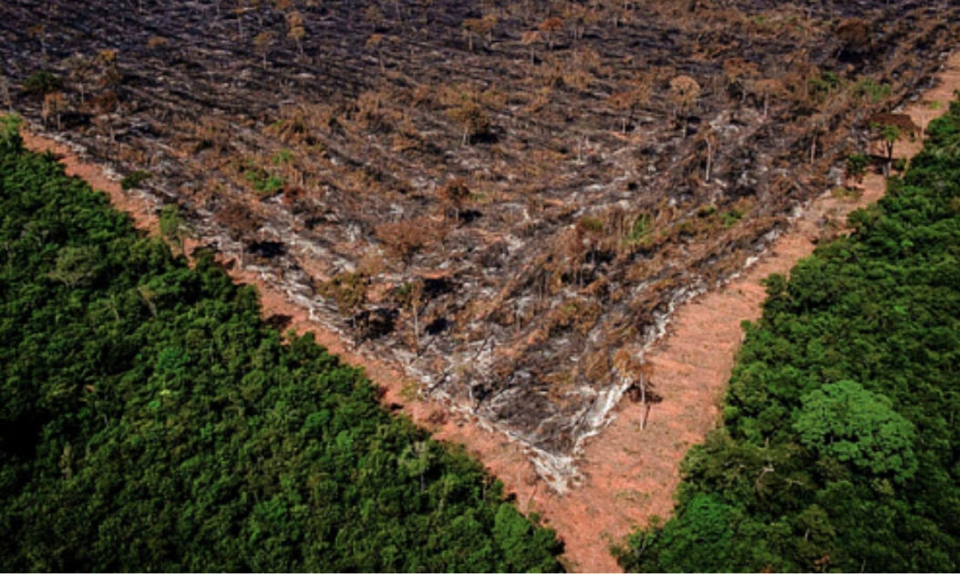 Área degradada da Amazônia com solo exposto, vegetação escassa e sinais de desmatamento