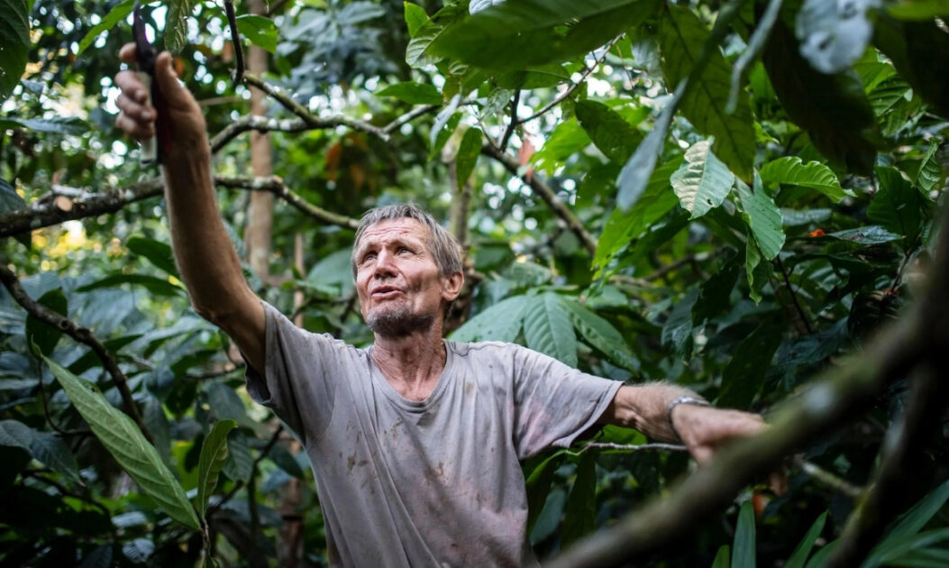 Ernst Götsch em sua fazenda sintrópica rodeado por vegetação densa de sistemas agroflorestais.
