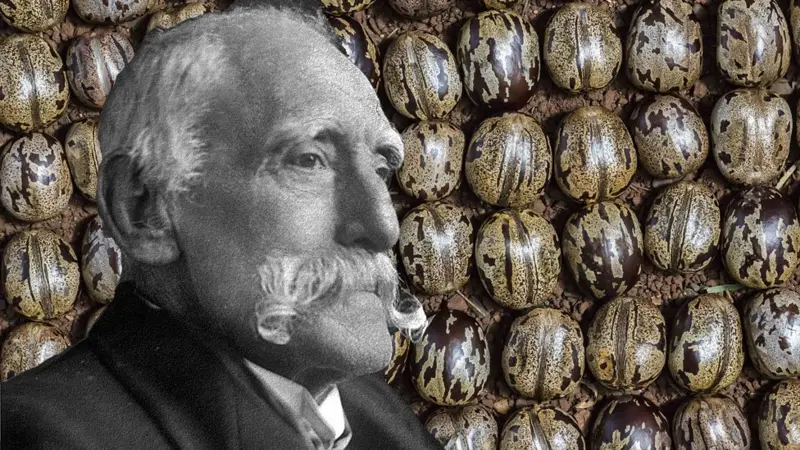 HENRY WICKMAN Science Photo Library Getty 1