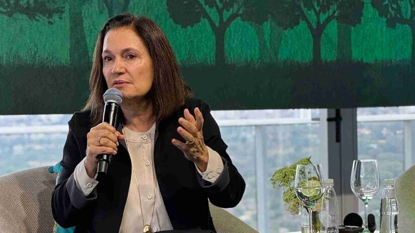 Entre a retórica do compromisso e a prática tímida, o Brasil chega à COP30 cercado de expectativas sobre o protagonismo empresarial. As tragédias de Mariana e Brumadinho ainda ecoam como o contraponto à retórica da sustentabilidade.