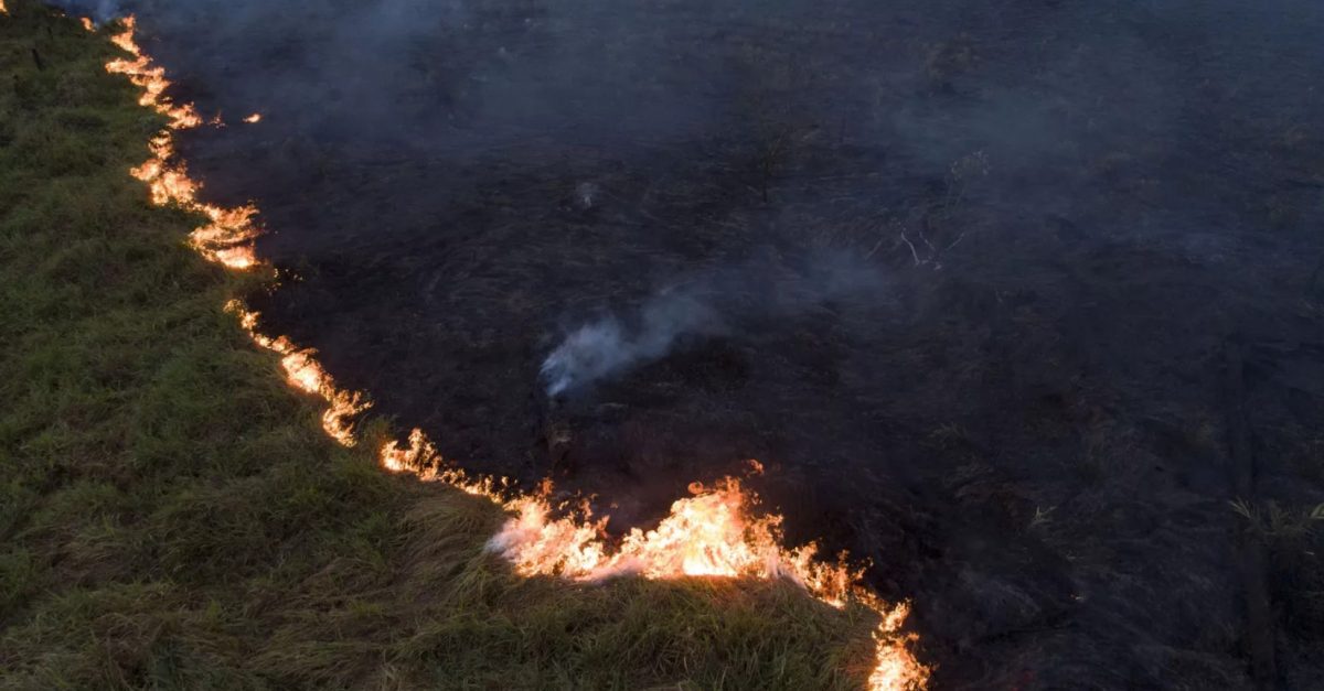 Imagem aérea da Amazônia com áreas de floresta e queimadas, tema debatido em carta entregue na COP30.