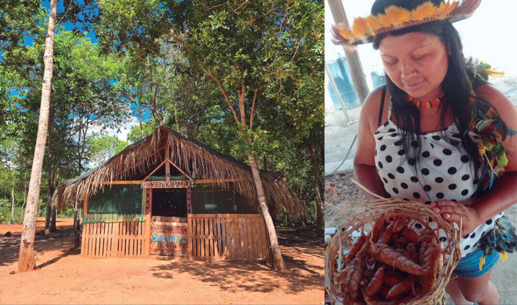 Expedições científicas na Amazônia revelam áreas inéditas e espécies desconhecidas 2 Mulher indígena segura planta de araruta, símbolo da resistência de cultivos tradicionais em comunidade amazônica.