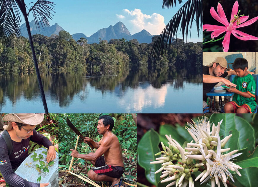 Expedições científicas na Amazônia revelam áreas inéditas e espécies desconhecidas 1 Imagens de diversos locais e espécies das expedições científicas na Amazônia.