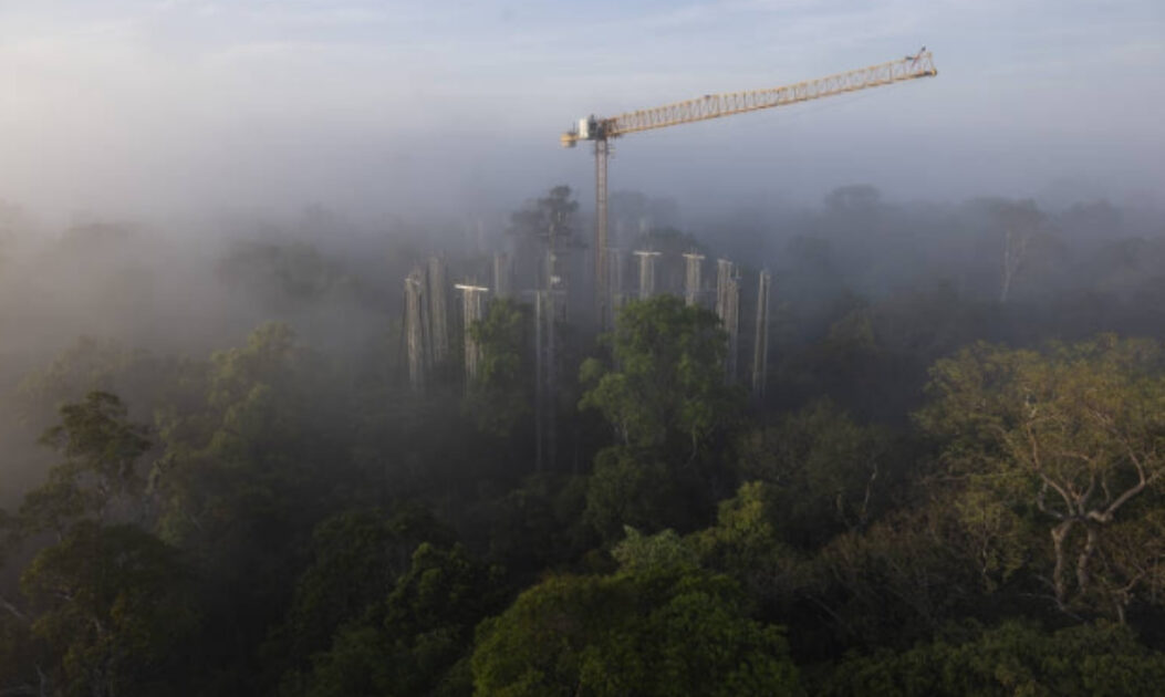Vista aérea do anel do experimento AmazonFACE, com torres circulares em meio à floresta amazônica.