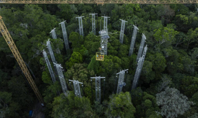 Vista aérea do anel do experimento AmazonFACE, com torres circulares em meio à floresta amazônica.