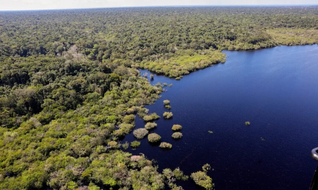 Vista aérea da floresta amazônica com vegetação densa e contínua, sem sinais de desmatamento.