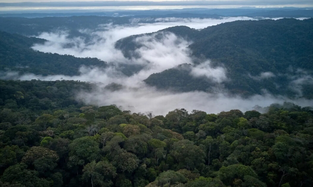 Paisagem da floresta amazônica densa e preservada, vista do alto com névoa sobre as copas das árvores.