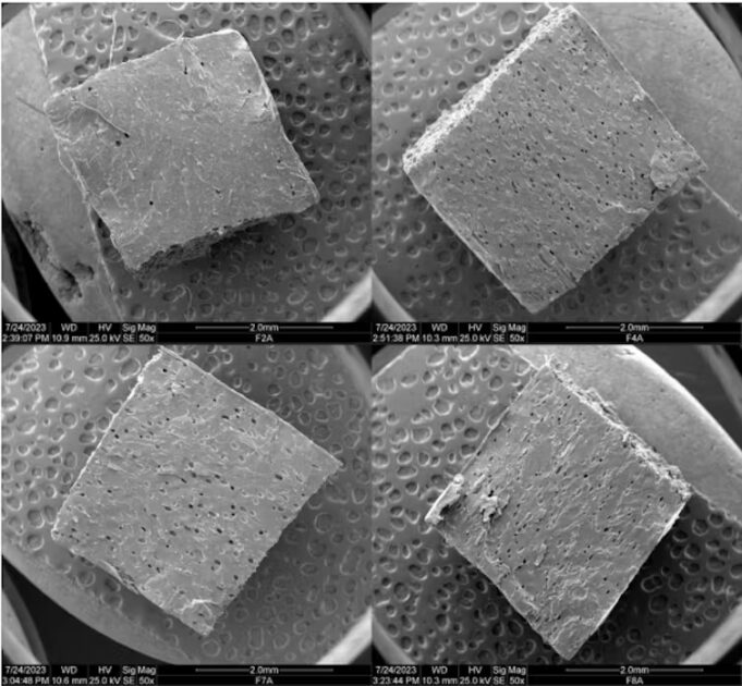 Imagem microscópica de hidrogel biodegradável, revelando sua estrutura porosa tridimensional, essencial para reter e liberar água no solo de forma controlada.