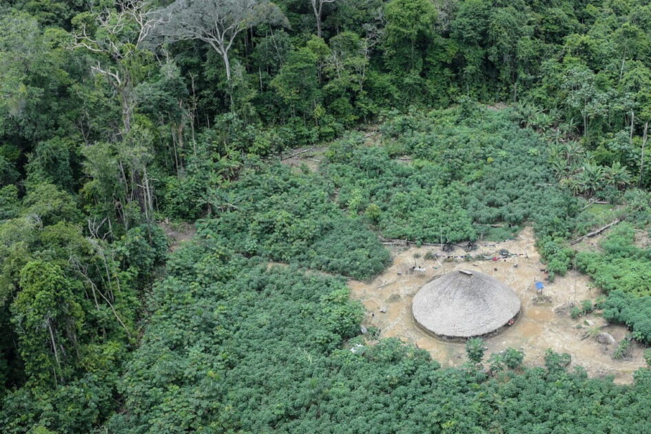 Área de floresta protegida em território indígena vulnerável à extração ilegal de madeira.