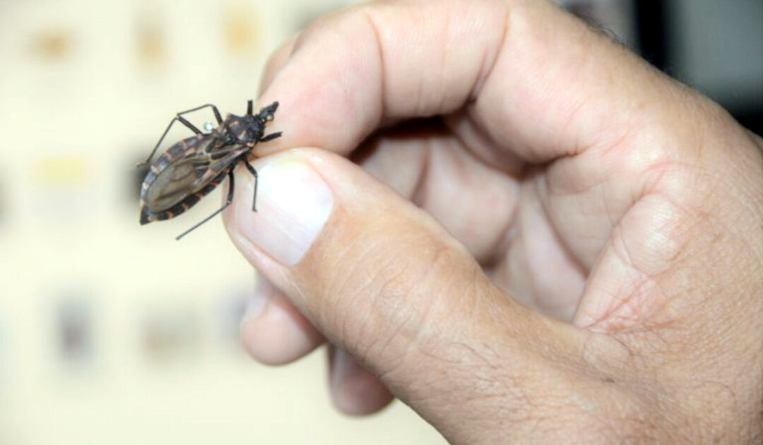 Barbeiro Foto Olival Santos Secretaria Estado Saude Alagoas