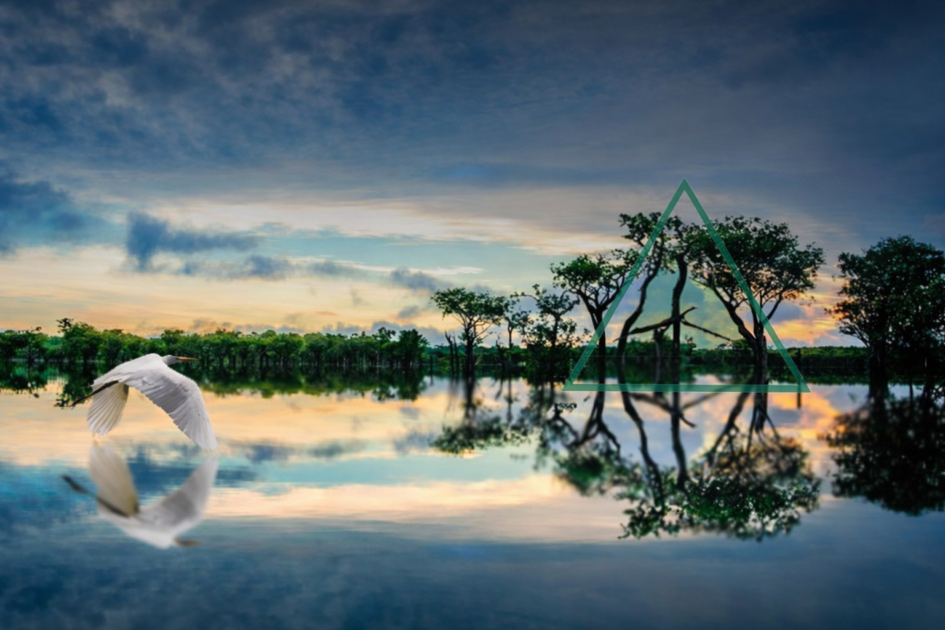 defesa da zona franca