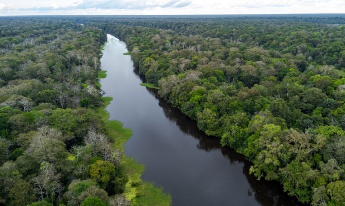 Vista aérea da RDS Mamirauá, área central para o desenvolvimento da Declaração de Mamirauá na proteção da Amazônia.