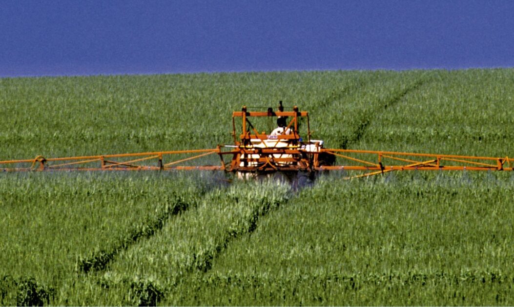 Trator pulveriza glifosato em plantação de trigo no Rio Grande do Sul