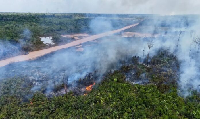 Área da floresta amazônica com solo queimado e fumaça após incêndio, retratando impacto nas emissões de incêndios florestais.