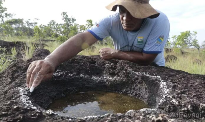 Pesquisador analisa pegada fossilizada de dinossauro na Amazônia.