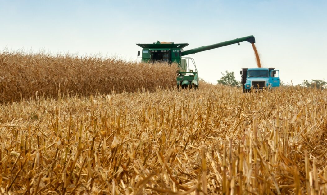 Colheitadeira operando em plantação de milho no Brasil, representando modelos de agricultura voltados à produtividade sustentável.