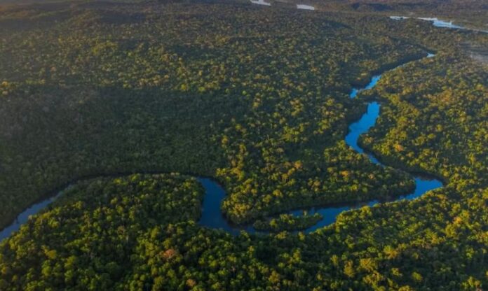 Imagem aérea do Parque Cristalino 2, área de conservação ameaçada por acordo com o maior desmatador da Amazônia.