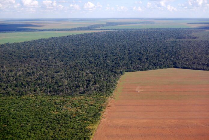 Vista aérea mostra limite entre floresta preservada e área desmatada para uso agropecuário, relacionada ao Plano Clima.