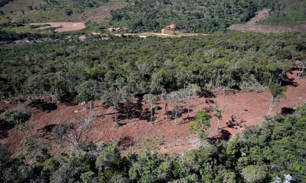 desmatamento mata atlantica 1