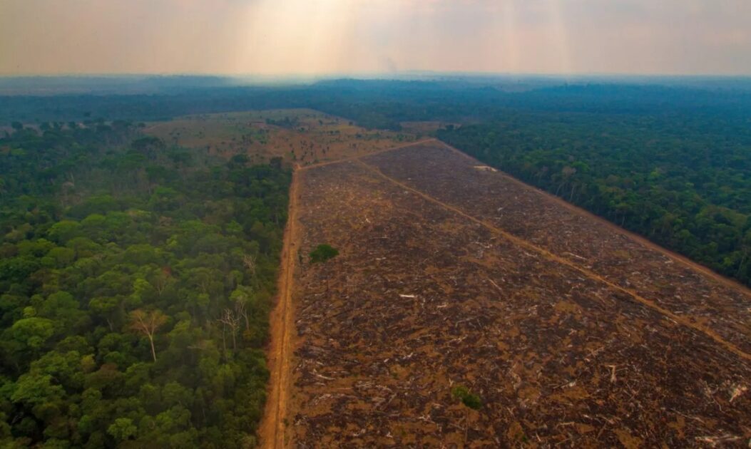 Área desmatada no estado do Mato Grosso, região associada à atuação do maior desmatador da Amazônia.
