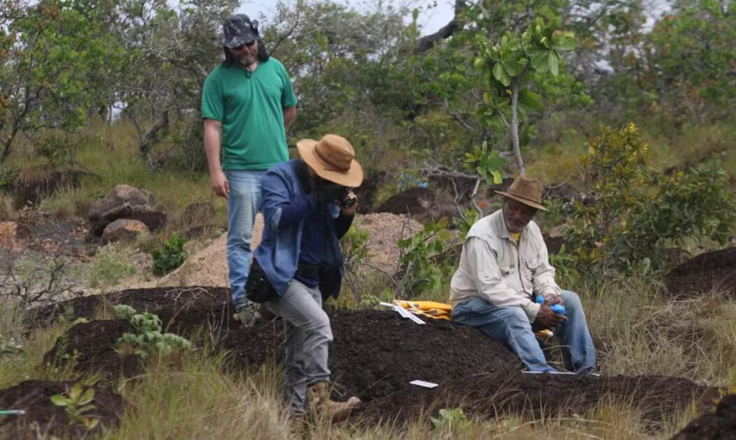 Grupo de Pesquisadores analisam e tiram fotos do local onde foram encontradas as pegadas de dinossauros na Amazônia.