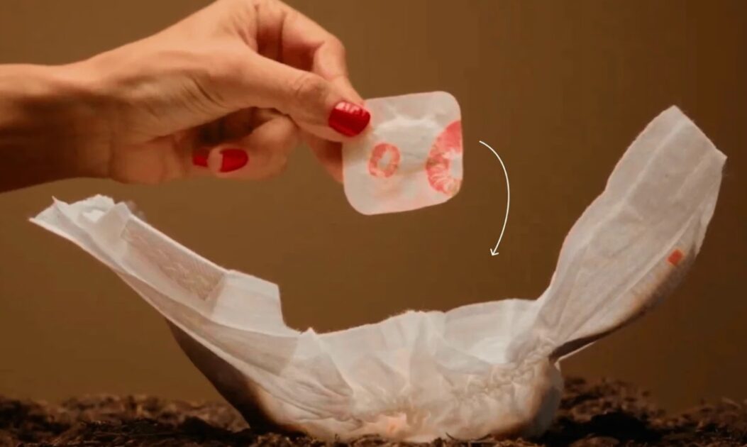 Fralda sustentável ao lado de sachê com fungos liofilizados da empresa Hiro