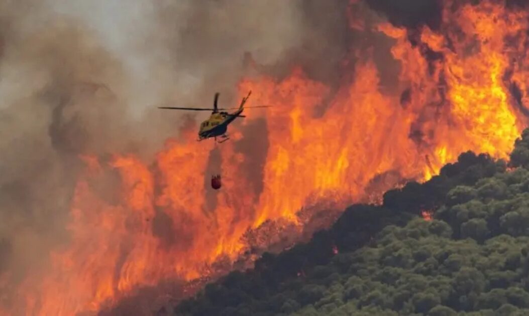 Solo queimado e árvores destruídas após incêndio florestal em Portugal
