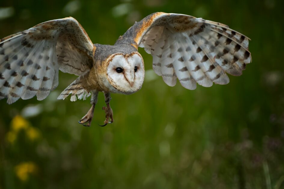 phil robson rkwS8O4W9aw unsplash