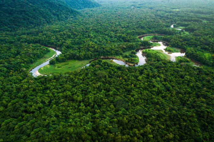 Vista aérea da floresta amazônica conservada, área monitorada pelo Imazon.