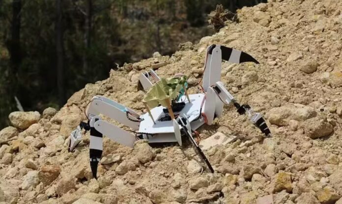Robô hexápode usado para reflorestamento em terreno acidentado com vegetação escassa