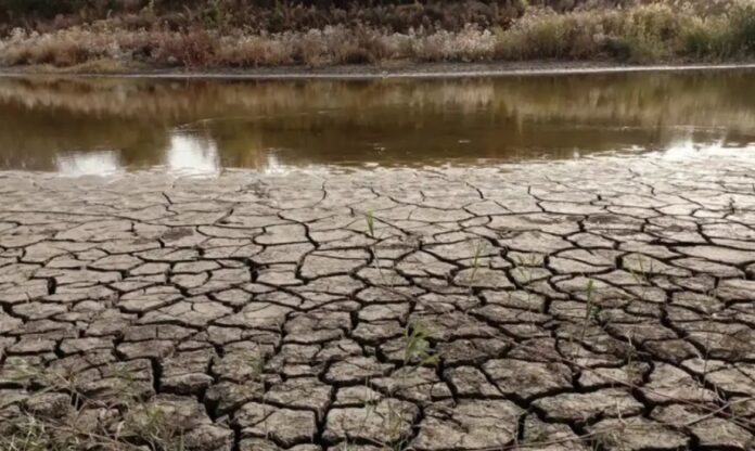 Campo agrícola ressecado por seca extrema, evidenciando impactos das crises alimentares globais.