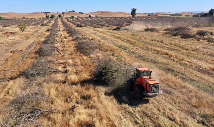 Trator colhendo lavoura seca no Meio-Oeste dos EUA, afetada pela origem da chuva e escassez de umidade.