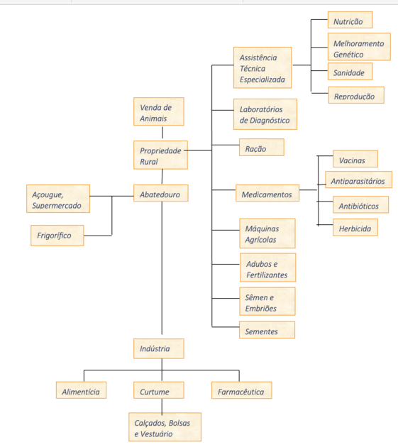 Captura de Tela 2026 01 28 as 13.18.21