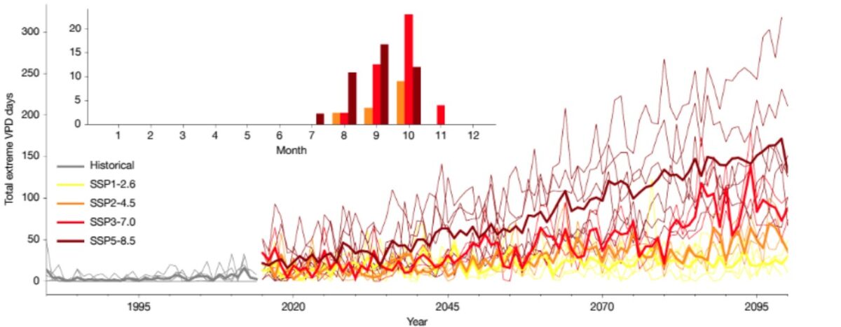 grafico estudo seca amazonia 1