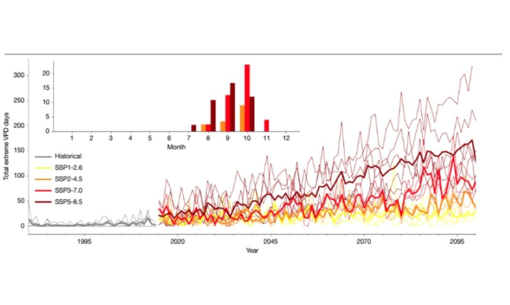 Gráfico mostra o aumento projetado de dias com déficit extremo de pressão de vapor (VPD) na Amazônia sob diferentes cenários climáticos, indicando maior ocorrência de secas quentes.