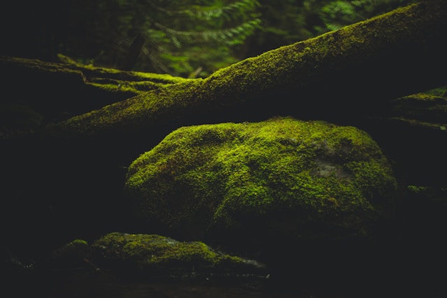 patrick hendry 9b4WStMHwbw unsplash 1