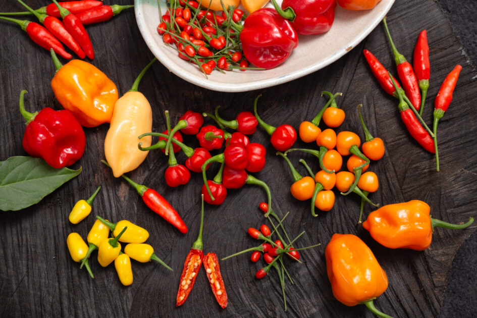 pimentas da amazonia