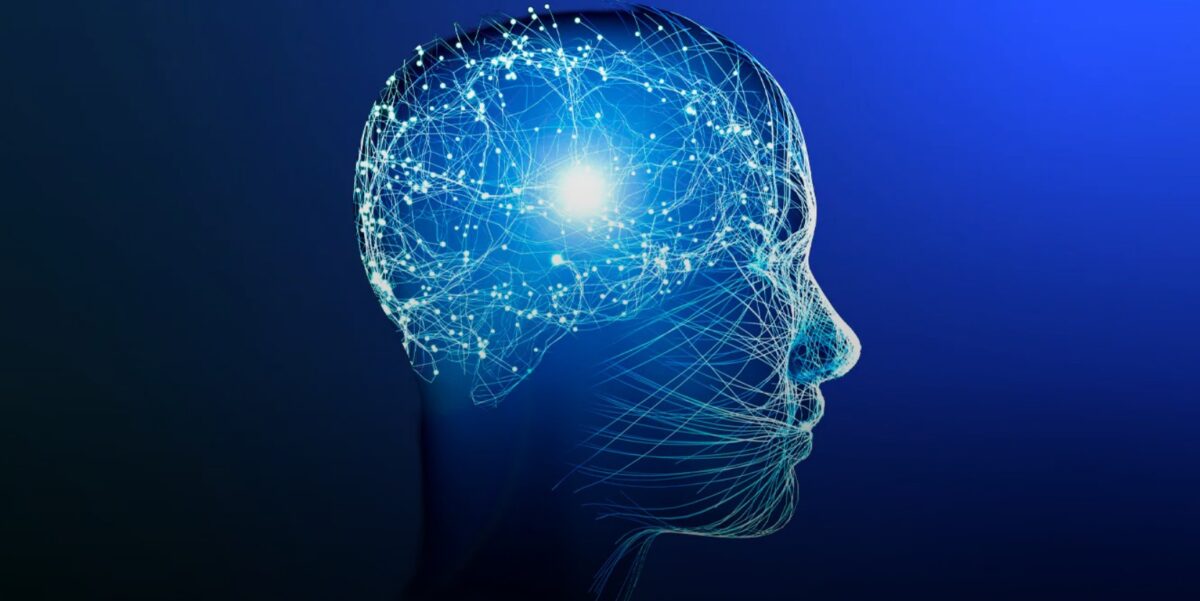 Captura de tela 2026 02 25 185444 1