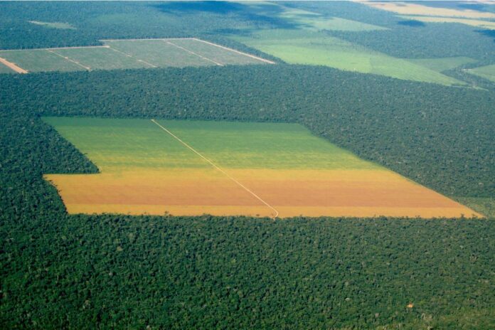 Pastagens restauradas no Cerrado com vegetação recuperada e áreas agrícolas no centro, exemplo de alternativa ao desmatamento no Cerrado.