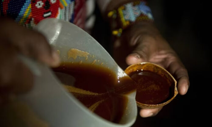 Participante serve ayahuasca durante ritual tradicional na Amazônia, em contexto ligado aos psicodélicos na Amazônia. Foto: Getty.